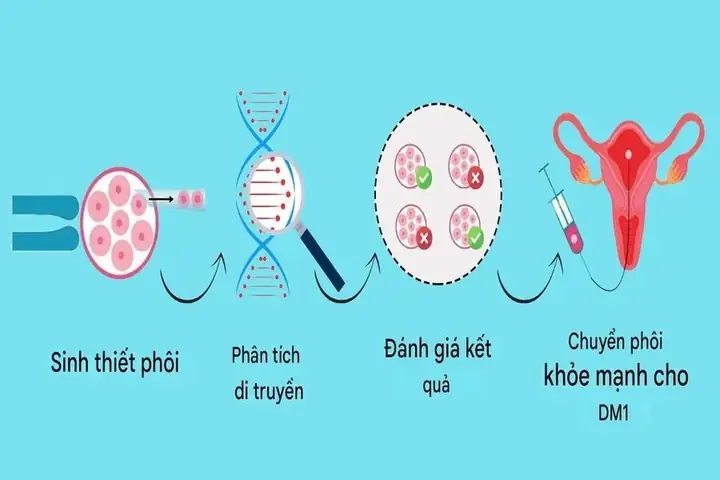 Chuyên Viên Phôi Học Là Gì? Vai Trò Và Công Việc Của Họ Trong Hỗ Trợ Sinh Sản