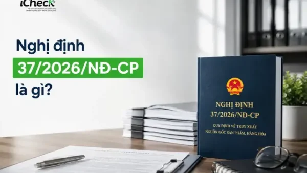 C&P Là Gì? Khám Phá Các Định Nghĩa Và Ý Nghĩa Đa Dạng Của C&P